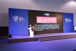 北京飛搜科技閃耀亮相2018年貴州數(shù)博會(huì)，引領(lǐng)信息技術(shù)咨詢服務(wù)新浪潮